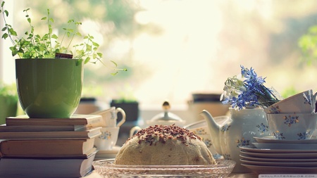 Ornare convallis integer purus bibendum