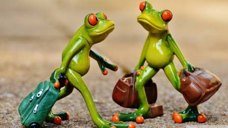 Amet risus interdum ultricies fusce