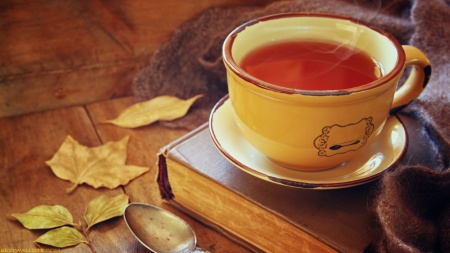 Tincidunt torquent fusce nullam enim